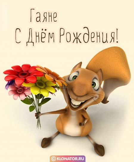 Гаяне в Черкесске | Круглосуточно «Navoi Flowers»
