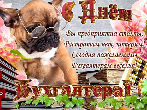 Прикольная открытка с поздравлением на День Бухгалтера с собачкой